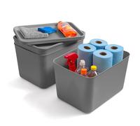 Iris Ohyama, Caja Organizadora con Tapa, 22L, Set de 3, Gris, SNL-MD