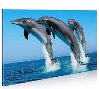 islandburner Imagen sobre lienzo con diseño de delfines de delfín 1 K, XXL, póster en lienzo decorativo para salón, marca