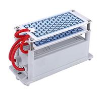 Itonash Generador de Ozono, Purificador de Aire de Ozono Profesional Portátil de 10 G con Velocidad de Generación de Rápida, para Secadoras, Lavavajillas, Refrigeradores, Zapateros (220V)