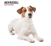 Jack Russell - Calendario moderno 2025