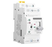 Jadeshay Interruptor de Transferencia Automática ATS 2P 63A AC220V, Conmutador Automático Doble Fuente de Alimentación Ininterrumpida Interruptor Selector Eléctrico para Uso Doméstico e Industrial