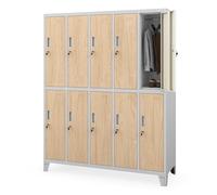 Jan Nowak taquillas metálicas Vestuario 10 Puertas con Cerradura Armario metálico con Barra ventilación Almacenamiento empleados Gimnasio Oficina Acero Resistente 172 x 136 x 45 cm