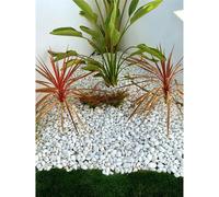 JARDIN202 - Canto rodado Blanco piedra de mármol | 25kg | Piedras decorativas para Jardín o espacios exteriores
