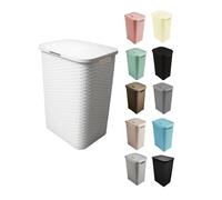 JARDIN202 - Cesto Ropa Sucia Pongotodo con Tapa y Asas | Cesta Colada Plástico Ratán | Cubo Ropa Sucia | Baño Dormitorio | 38L/48L/60L | Set (Gris)