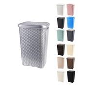 JARDIN202 - Cesto Ropa Sucia Pongotodo con Tapa y Asas | Cesta Colada Plástico Ratán | Cubo Ropa Sucia | Baño Dormitorio | 38L/48L/60L | 60 litros (Plata)