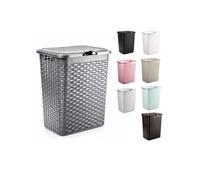 JARDIN202 - Cesto Ropa Sucia Pongotodo con Tapa y Asas | Cesta Colada Plástico Ratán | Cubo Ropa Sucia Ventilado | Baño Dormitorio | 38L/60L | 38 Litros (Plata)