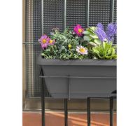 Jardin202 - Jardinera de balcón con Plato y Soporte metálico Incorporado | Macetero de plástico para Colgar | 50 cm (Gris)