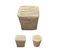 JARDIN202 - Pongotodo Cesta de Palma Natural con Tapadera y Asas - Almacenamiento en Modelos Redondo y Cuadrado para Ropa y Decoración | Cuadrado Grande
