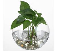 Jardinera Colgante de Cristal Redonda 4 Piezas para Pared