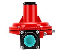 Jeffergarden Regulador de Gas Natural 1/2 Pulgada NPT Ajustable 4-6 PSI 250 PSI Entrada Máxima Válvula Reguladora de Presión de Gas LP de Hierro Fundido con Caudal de 30 Nm³/h para Sistemas