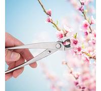 Jiawu Cortador de Ramas de Acero Inoxidable para Bonsái, Tijeras de Podar Ergonómicas para Jardín, Tijeras Duraderas para Ramas Pequeñas, árboles y Plantas, Uso en Interiores y Exteriores, Hoja de
