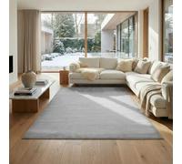 Jimri Alfombra mullida de Pelo Corto de para el hogar, Oficina, Cocina, Entrada, Pasillo, Sala de Estar, Lavable a máquina, Antideslizante, Lavable - Plateado, 200 x 280 cm