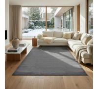 Jimri Alfombra mullida de Pelo Corto de para el hogar, Oficina, Cocina, Entrada, Pasillo, Sala de Estar, Lavable a máquina, Antideslizante, Lavable - Antracita, 80 x 150 cm
