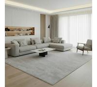 Jimri Fashion4Home Alfombra Lisa Monocolor para Salón, Dormitorio, Estudio, Despacho, Pasillo y Cocina - Pelo Corto Plateado, 120x170 cm