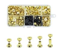 JINTANG 100 Juego de tornillos Chicago, remaches para cuero kit 4/6/8/10/15 mm, metal tornillo clavo remache botón Chicago, para DIY cinturón de cuero artesanía libro (dorado)