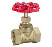 JNURGWLYH Válvula de Cierre de 1/2", 3/4", 1", 1 1/4", 1 1/2", 2", Hembra a Hembra, válvulas de compuerta de latón de Dos vías, válvula de Agua con Rosca Interna(DN25)