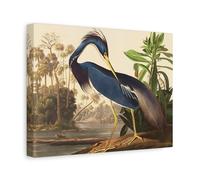 John James Audubon Garza de Luisiana - Impresión en lienzo de arte de pared