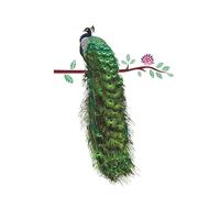 jojofuny Pegatinas Para Pared 3D Pavo Real En Plumas Y Ramas 35.43X11.81 Pulgadas Adhesivos Impermeables Para Decoracion De Pared Del Hogar Fácil De Aplicar Y Remover Sin Residuos