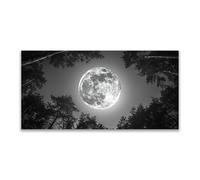 JOSUE Cuadros De Paisajes Naturales Luna Minimalista Cuadros Habitacion Bebe Lienzo,Black,white Cuadros SalóN Dormitorio Comedor Oficina DecoracióN-30x60cm Sin marco