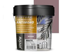 JOVIRA PINTURAS Pintura Antimoho, Evita el moho, resistente a la aparición de moho en paredes, aspecto mate. (4 Litros, Magnum)