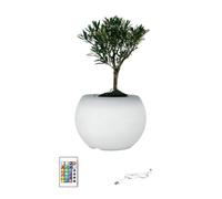 JTQYFI Macetas LED que cambian de color para plantas suculentas, jardín interior y decoración del hogar con base iluminada, color ajustable, maceta con luz