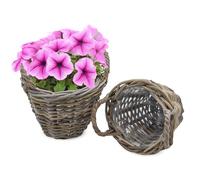 Juego de 2 cestas de mimbre para plantas, 2 unidades, color gris desgastado, 20 cm/mini, cesta de madera con asa, maceta de ratán laminado, decoración de jardín natural