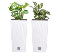 Juego de 2 macetas de diseño floral, 26,6 litros, aspecto de ratán, color blanco, macetas altas de 50 cm de altura con maceta interior de 11 litros, de forma cuadrada. Maceta exterior de plástico