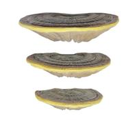 Juego de 3 estantes flotantes de resina para decoración de pared, accesorio de soporte de pared para figuras móviles, horquilla, uso diario