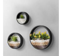 Juego de 3 macetas de Pared, Modernas y Redondas de Cristal, macetas de Pared suculentas, para Colgar en Hierba, Cactus pequeño, decoración de balcón, habitación y Patio