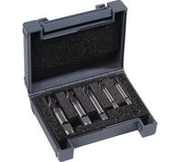 Juego de fresas para mandril, diámetros 4/6/8/10/12 mm, geometría Z.4, carburo de tungsteno TiAlN, 5 piezas, en caja. Marca: TECWERK