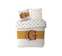 Juego de funda nórdica Harry Potter - 1 funda nórdica + 2 fundas de almohada - 100% algodón (200 x 200 cm, juego de cama Harry Potter)