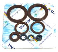 Juego de juntas de motor para Husqvarna TE 410 E 01, SM 610S 01