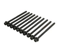 Juego de tornillos de culata REINZ 14-11654-01