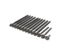 Juego de tornillos de culata REINZ 14-32347-01