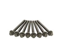 Juego de tornillos de culata REINZ 14-32373-01