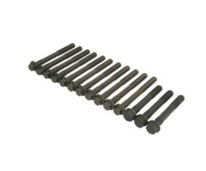 Juego de tornillos de culata VICTOR REINZ 14-32284-03