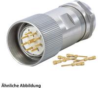 JUEGO HUMMEL, incluye conectores M23, cable con conector coaxial de acero inoxidable, conector de crimpado recto, número de polos: 6, tipo de conexión: cable