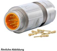 JUEGO HUMMEL que incluye: conector M16, conector de empalme, terminal de crimpado recto, número de polos 6+PE, salida de cable recta