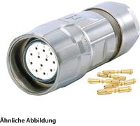 JUEGO HUMMEL que incluye: conector M23 para cable de señal, conector de crimpado recto, número de polos: 12, conector hembra para salida de cable