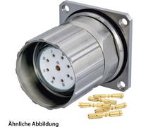 JUEGO HUMMEL que incluye: conector M23 para señal, conector para dispositivos, terminal de crimpado recto, número de polos: 12, conector hembra con tuerca de fijación