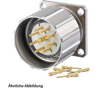 JUEGO HUMMEL que incluye: conector M23 para señal, conector para dispositivos, terminal de crimpado recto, número de polos: 7, con tornillo de fijación