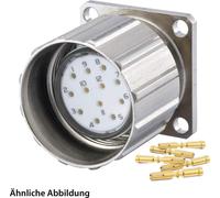 JUEGO HUMMEL que incluye: conector M23 para señal, conector para dispositivos, terminal de crimpado recto, número de polos: 12, conector hembra con tuerca de fijación