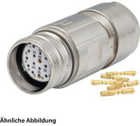 JUEGO HUMMEL que incluye: conector M23 para señales, conector de acoplamiento, terminal de crimpado recto, número de polos: 9 (1+8), conector hembra