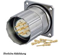 JUEGO HUMMEL que incluye: conector M23 para señales, conector para dispositivos, terminal de crimpado recto, número de polos: 17, con tornillo de fijación