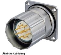 JUEGO HUMMEL que incluye conectores M23 para señales, conector para dispositivos, con terminal para soldadura, configuración recta, 11 polos + toma de tierra, con conector tipo tornillo