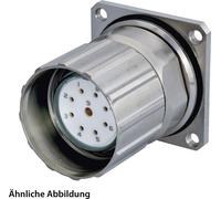 JUEGO HUMMEL que incluye conectores M23 para señales, conector para dispositivos, con terminales para soldadura, configuración de 2+16+PE, conector hembra y tuerca de fijación