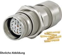 Juego HUMMEL que incluye: conectores M23, pasacables para pared, conector, terminales de crimpado, configuración recta, 11 polos + toma de tierra, conector hembra con tuerca de fijación