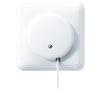 JUNG 5506 ZU WW - Interruptor de cadena de tracción - Cableado - Blanco - Duroplástico - 250 V - 10 A