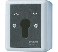 JUNG 834.28G - Interruptor con llave - - Blanco - IP44 - 250 V - 10 A