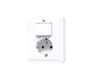 JUNG CD500 Interruptor Toma Combinado Con Contacto A Tierra - 5576EUWW